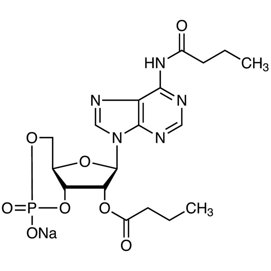 Bucladesine Sodium Salt >97.0%(HPLC) - CAS 16980-89-5