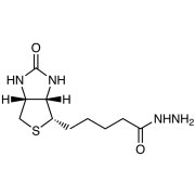 Biotin Hydrazide >98.0%(HPLC) - CAS 66640-86-6