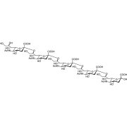 N-Acetylneuraminic Acid Pentamer α(2-8) >95.0%(HPLC) - CAS 110935-75-6