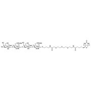 Galβ(1-3)GlcNAc[6S]β(1-3)Galβ(1-3)GlcNAc[6S]-β-PEG3-biotin