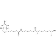 N-Biotinylcaproylaminocaproic Acid >98.0%(T) - CAS 89889-51-0