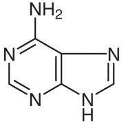 Adenine >99.0%(T)(HPLC) - CAS 73-24-5