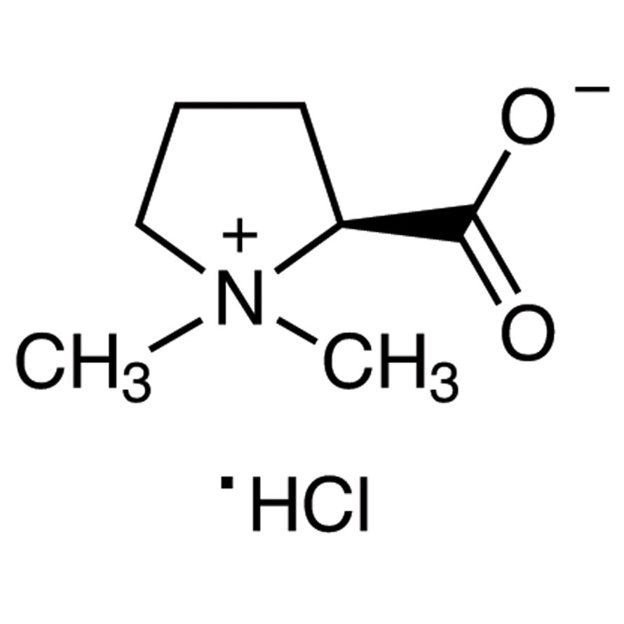 Stachydrine Hydrochloride  - CAS 4136-37-2