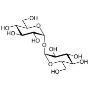 D-(+)-Trehalose Anhydrous >98.0%(GC) - CAS 99-20-7