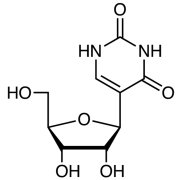 Pseudouridine >98.0%(HPLC) - CAS 1445-07-4