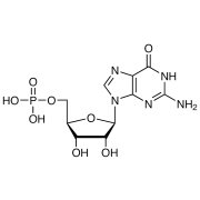 Guanosine 5'-Monophosphate >98.0%(T)(HPLC) - CAS 85-32-5