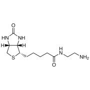 N-(2-Aminoethyl)biotinamide >95.0%(HPLC) - CAS 111790-37-5