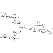 G2F 2AB (500pmol/vial)  - CAS 263902-57-4