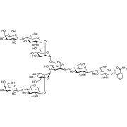 G2 2AB (500pmol/vial)  - CAS 263902-58-5