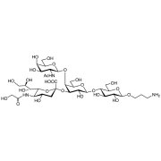 Neu5Gcα(2-3)[GalNAcβ(1-4)]Galβ(1-4)Glc-β-propylamine