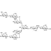 G2 Glycan >95.0%(HPLC) - CAS 71496-53-2
