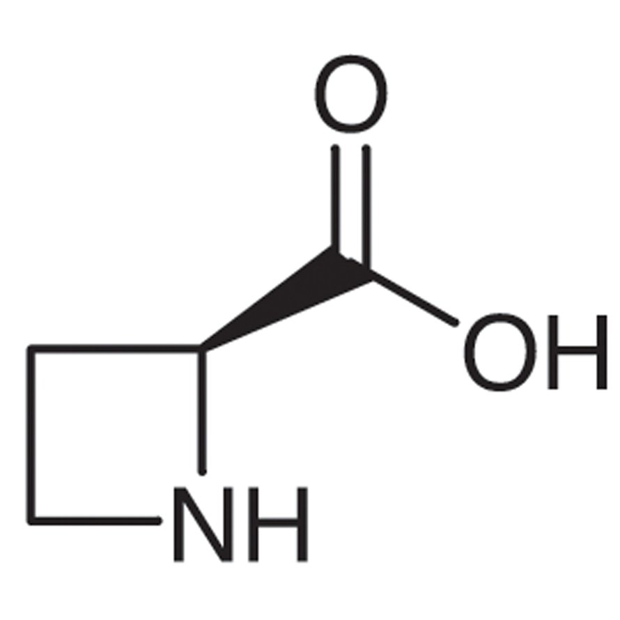 L-Azetidine-2-carboxylic Acid [Antagonist of L-Proline] >98.0%(T) - CAS 2133-34-8