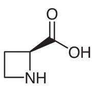 L-Azetidine-2-carboxylic Acid [Antagonist of L-Proline] >98.0%(T) - CAS 2133-34-8