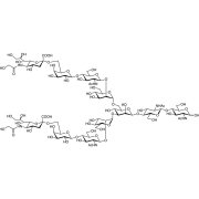 Neu5Gcα(2-6) N-Glycan  - CAS 125139-41-5