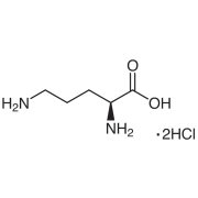 L-Ornithine Dihydrochloride >98.0%(N) - CAS 6211-16-1