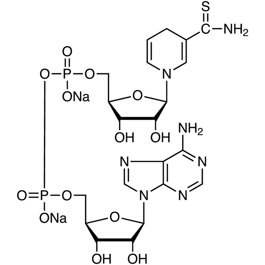 Thionicotinamide Adenine Dinucleotide Disodium Salt reduced form [for Biochemical Research] >93.0%(HPLC)