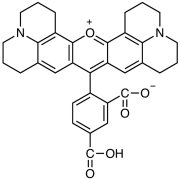 5-Carboxy-X-rhodamine >95.0%(HPLC) - CAS 216699-35-3