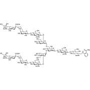 Neu5Acα(2-6) N-Glycan 2AB (500pmol/vial)  - CAS 1107646-22-9