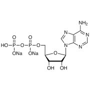 Adenosine 5'-Diphosphate Disodium Salt >98.0%(N) - CAS 16178-48-6