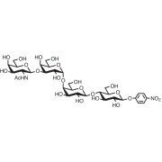 GalNAcβ(1-3)Galα(1-4)Galβ(1-4)Glc-β-pNP >88.0%(HPLC) - CAS 1134635-03-2