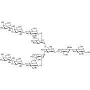 Galα(1-3) N-Glycan  - CAS 115973-45-0