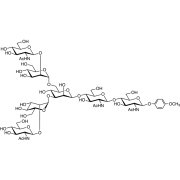 G0 MP Glycoside
