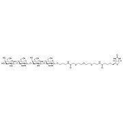 Galβ(1-3)GlcNAcβ(1-3)Galβ(1-3)GlcNAc-β-PEG3-biotin