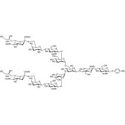 Disialylnonasaccharide-β-pNP >98.0%(HPLC) - CAS 1408055-26-4
