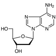2'-Deoxyadenosine Anhydrous >98.0%(T)(HPLC) - CAS 958-09-8