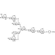 6-G1 MP Glycoside