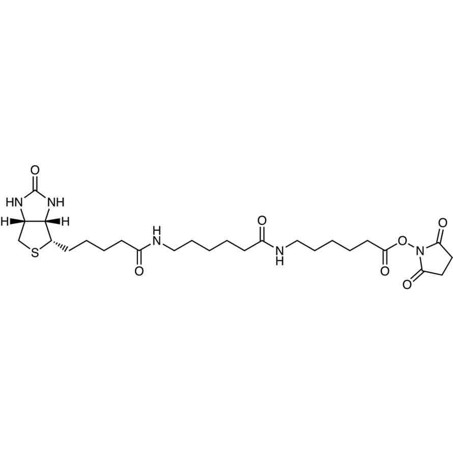 N-Succinimidyl N-[6-(Biotinamido)hexanoyl]-6-aminohexanoate >90.0%(HPLC) - CAS 89889-52-1