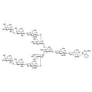 Galα(1-3) N-Glycan 2AB (500pmol/vial) >95.0%(HPLC)