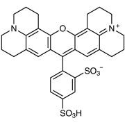 Sulforhodamine 101 >95.0%(HPLC)(N) - CAS 60311-02-6