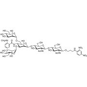 MANT-M3GN2-DNP >98.0%(HPLC) - CAS 2170307-25-0