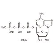 Adenosine 5'-Triphosphate Disodium Salt Hydrate >98.0%(T)(HPLC) - CAS 34369-07-8