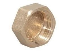 Sarı Manşon Körtapa 1