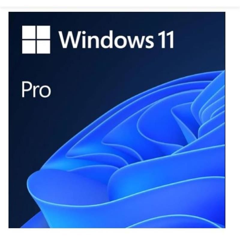 Ms Wındows 11 Pro 32/64 Bıt Tr Kutu Usb Hav00159
