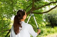 Gardena 12004-20 Kalın Dal Makası Easycut 680A