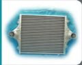 Man 19.463-464 İntercooler