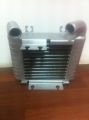 Kia Bongo 2.5 DCİ İntercooler/ 04+ Model araclara uyumlu/Orjınal No:28190-42760