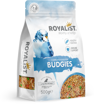 03621 ROYALIST MUHABBET YEMİ 500 GR