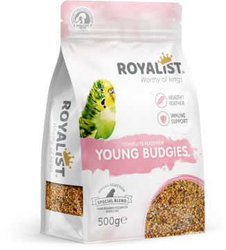 03622 ROYALIST YAVRU MUHABBET YEMİ 500 GR