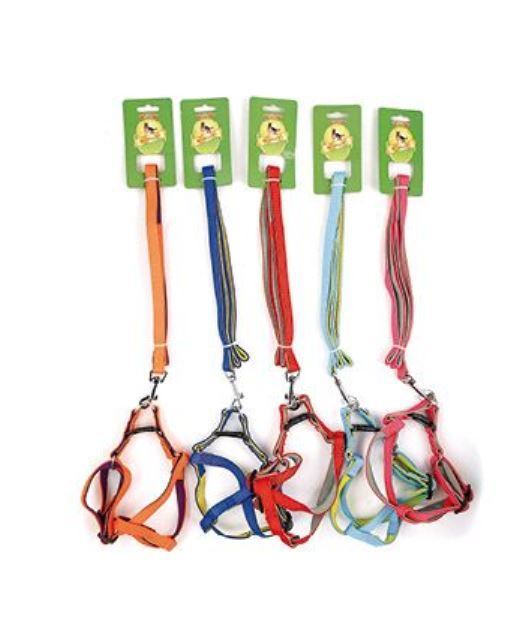 02281 ROYALIST 201617 15MM  NEON YUMUŞAK DOKU KÖPEK GÖĞÜS TAKIMI (5 RENK-5 ADET) 5 ADET