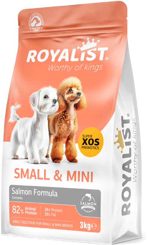 03676 ROYALİST KÜÇÜK IRK YETİŞKİN SOMONLU KÖPEK MAMASI 3 KG