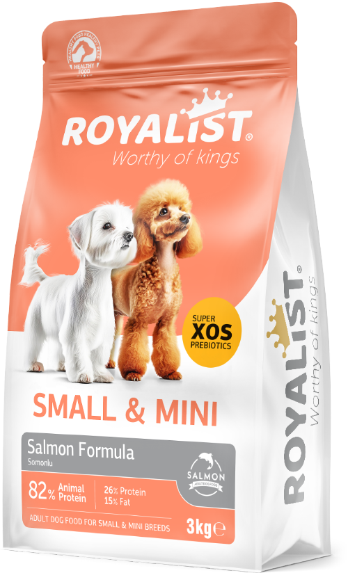 03676 ROYALİST KÜÇÜK IRK YETİŞKİN SOMONLU KÖPEK MAMASI 3 KG