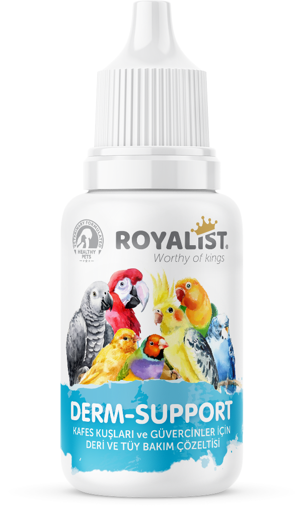 03681 ROYALIST KUŞ DERİ-BAKIM 30 ML