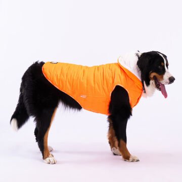 23157 NEON TURUNCU RAİLWAY BÜYÜK IRK YELEK 5 Lİ SET(﻿3XL-4XL-5XL-6XL-7XL)