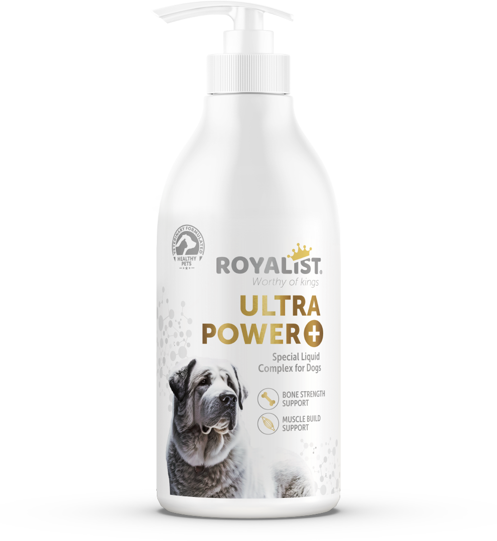 03706 ROYALIST DOG ULTRA POWER KEMİK VE KAS GÜÇLENDİRİCİ 500 ML
