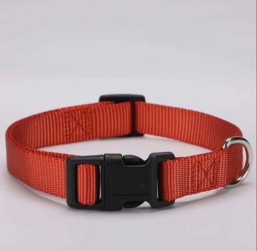 03312 UKC KÖPEK TASMA 25 MM 40CM/65CM