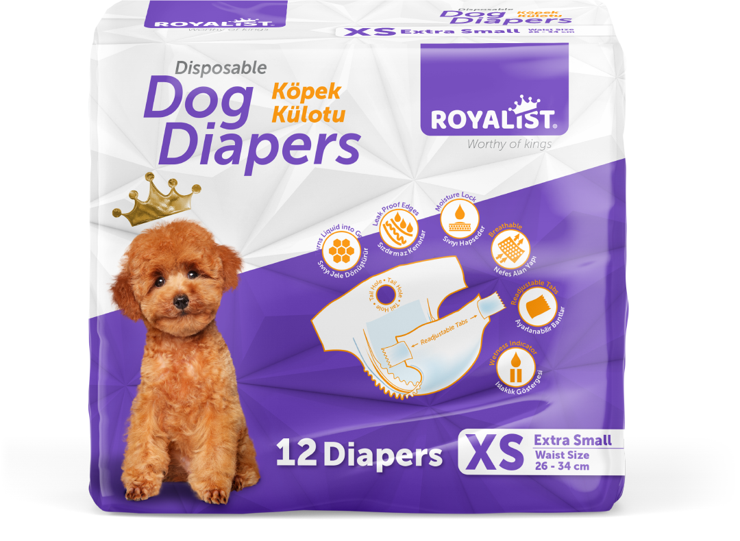 03738 ROYALIST KÜLOT XSMALL 12 Lİ